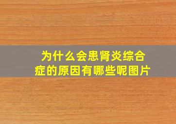 为什么会患肾炎综合症的原因有哪些呢图片