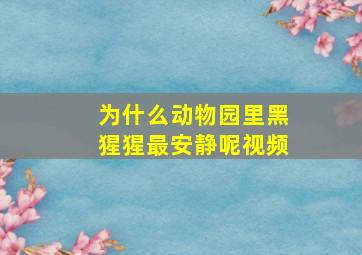 为什么动物园里黑猩猩最安静呢视频