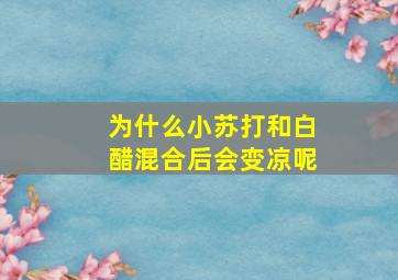 为什么小苏打和白醋混合后会变凉呢