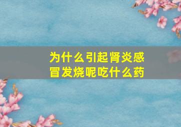 为什么引起肾炎感冒发烧呢吃什么药