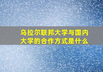 乌拉尔联邦大学与国内大学的合作方式是什么