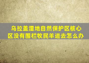 乌拉盖湿地自然保护区核心区没有围栏牧民羊进去怎么办