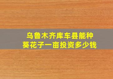 乌鲁木齐库车县能种葵花子一亩投资多少钱