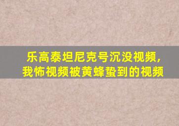 乐高泰坦尼克号沉没视频,我怖视频被黄蜂蛰到的视频