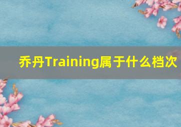 乔丹Training属于什么档次