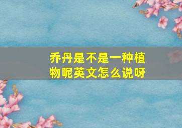 乔丹是不是一种植物呢英文怎么说呀