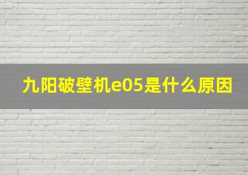 九阳破壁机e05是什么原因