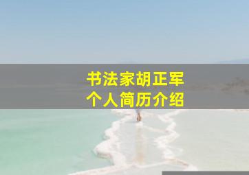 书法家胡正军个人简历介绍