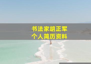 书法家胡正军个人简历资料