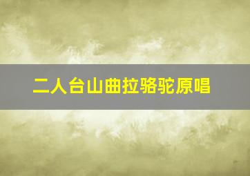 二人台山曲拉骆驼原唱