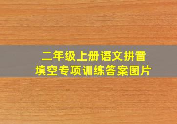 二年级上册语文拼音填空专项训练答案图片