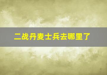 二战丹麦士兵去哪里了