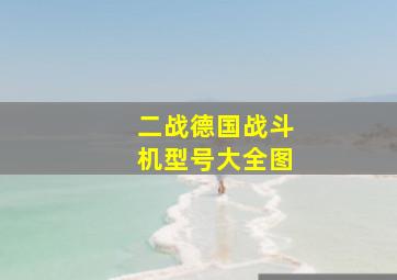 二战德国战斗机型号大全图