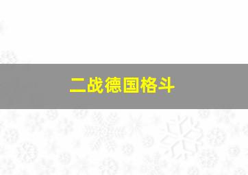 二战德国格斗