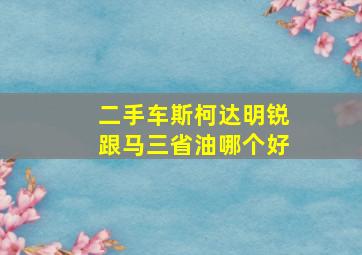 二手车斯柯达明锐跟马三省油哪个好