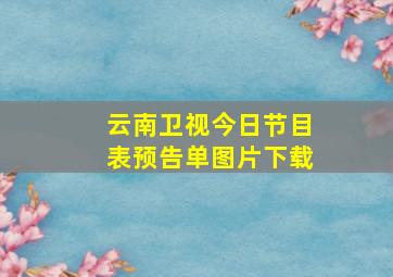 云南卫视今日节目表预告单图片下载