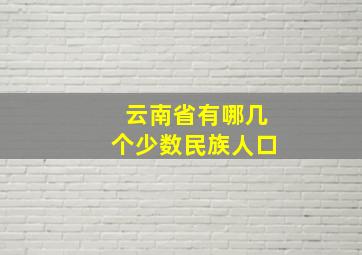 云南省有哪几个少数民族人口