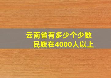 云南省有多少个少数民族在4000人以上