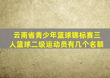 云南省青少年篮球锦标赛三人篮球二级运动员有几个名额