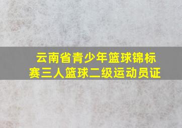 云南省青少年篮球锦标赛三人篮球二级运动员证