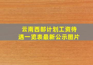 云南西部计划工资待遇一览表最新公示图片