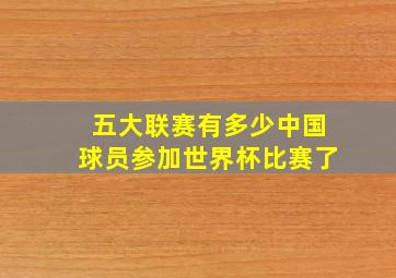 五大联赛有多少中国球员参加世界杯比赛了