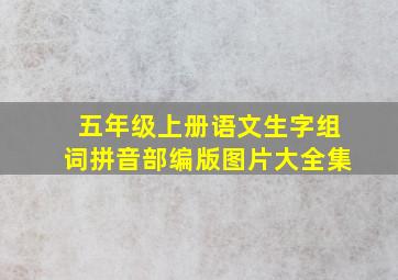 五年级上册语文生字组词拼音部编版图片大全集