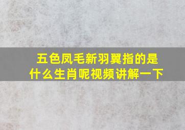 五色凤毛新羽翼指的是什么生肖呢视频讲解一下