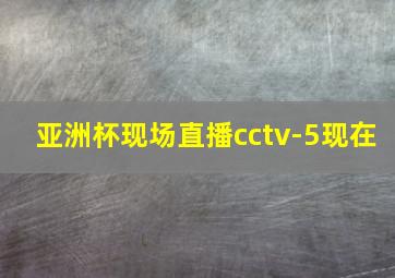 亚洲杯现场直播cctv-5现在