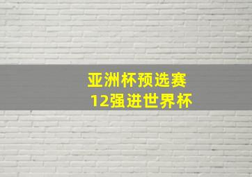 亚洲杯预选赛12强进世界杯