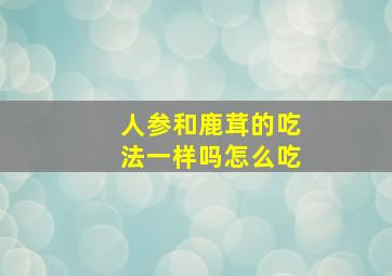 人参和鹿茸的吃法一样吗怎么吃