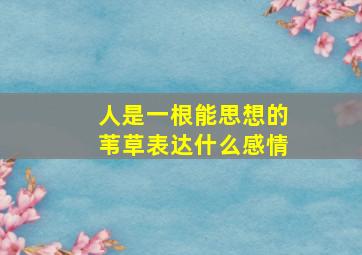 人是一根能思想的苇草表达什么感情