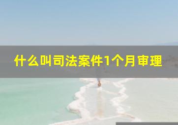 什么叫司法案件1个月审理