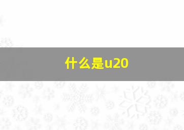 什么是u20