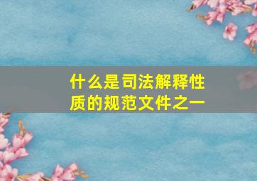 什么是司法解释性质的规范文件之一