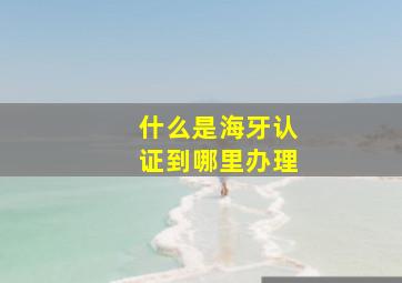 什么是海牙认证到哪里办理