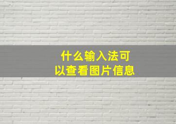 什么输入法可以查看图片信息