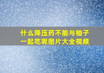 什么降压药不能与柚子一起吃呢图片大全视频