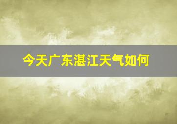 今天广东湛江天气如何