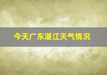 今天广东湛江天气情况