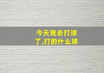 今天我去打球了,打的什么球