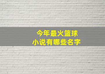 今年最火篮球小说有哪些名字