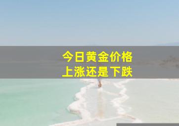 今日黄金价格上涨还是下跌