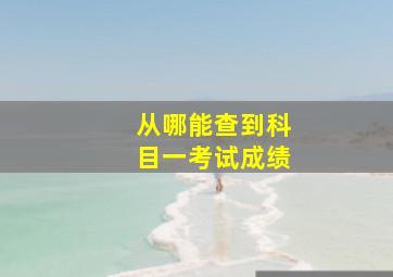 从哪能查到科目一考试成绩