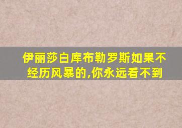 伊丽莎白库布勒罗斯如果不经历风暴的,你永远看不到