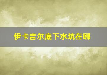 伊卡吉尔底下水坑在哪