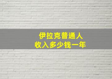 伊拉克普通人收入多少钱一年