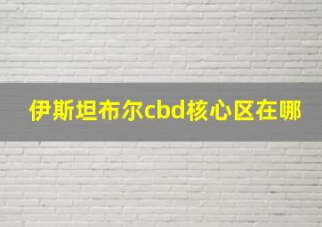 伊斯坦布尔cbd核心区在哪