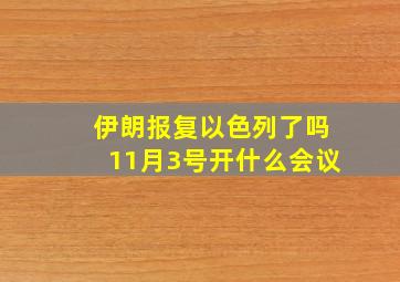 伊朗报复以色列了吗11月3号开什么会议