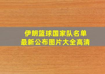 伊朗篮球国家队名单最新公布图片大全高清